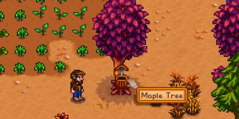 Stardew Valley Tapper On Maple Tree