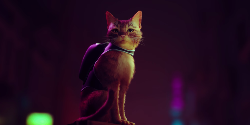 Stray Preview - What’s New Pussycat