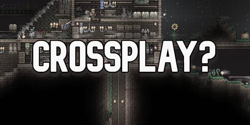 Terraria crossplay