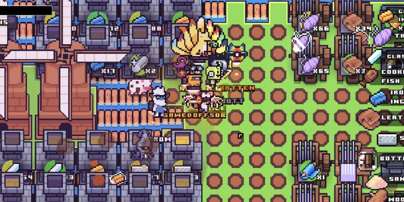 Forager: Which Skills To Get First