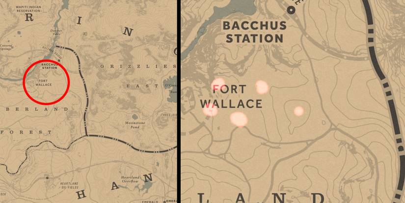 Red Dead Online: Best Violet Snowdrop Locations