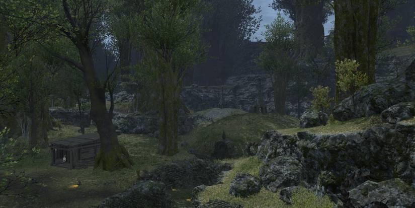 a screenshot of a forest in tam-tara deepcroft dungeon from outside in Final Fantasy 14