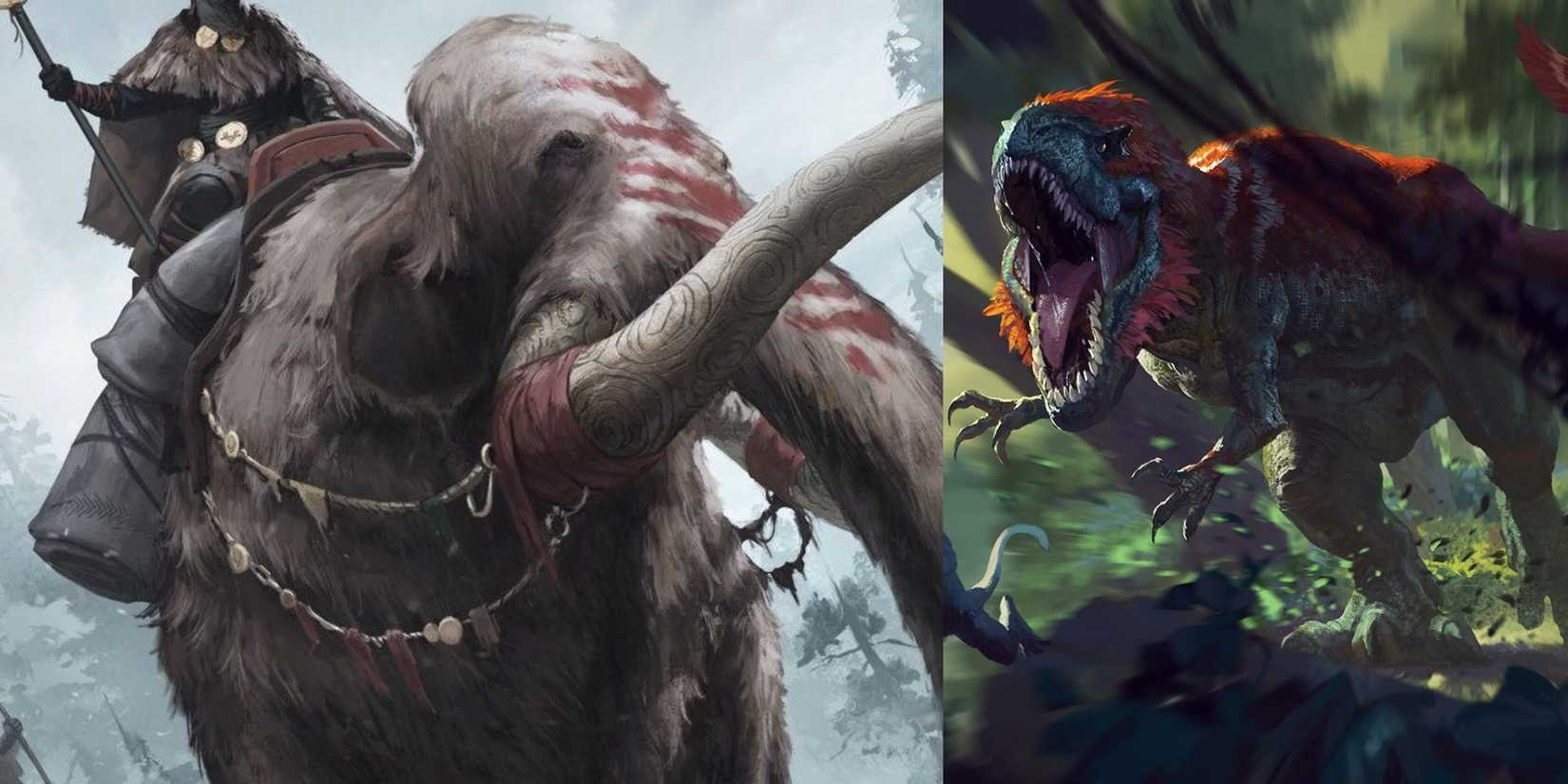 How To Use Polymorph In DND