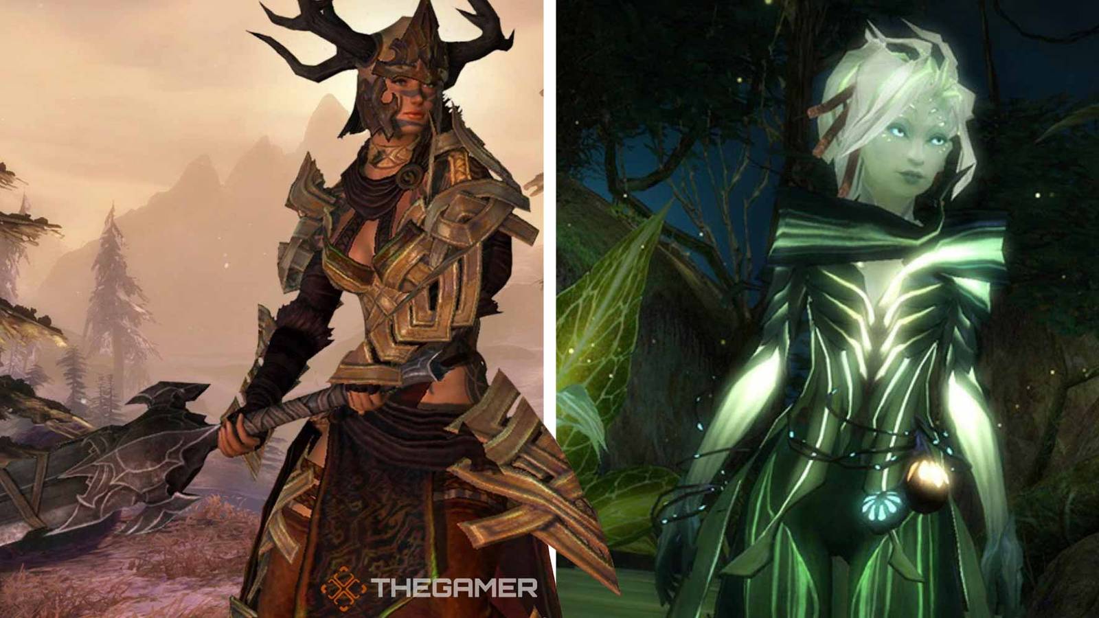 Guild Wars 2: A Beginner's Guide To The Races