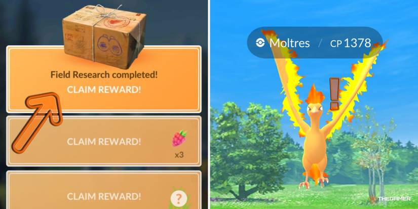 Everything You Need To Know About Field Research In POGO