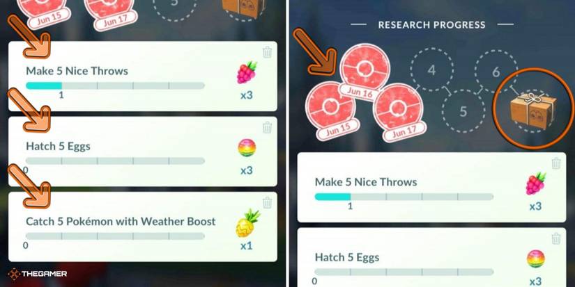 Everything You Need To Know About Field Research In POGO