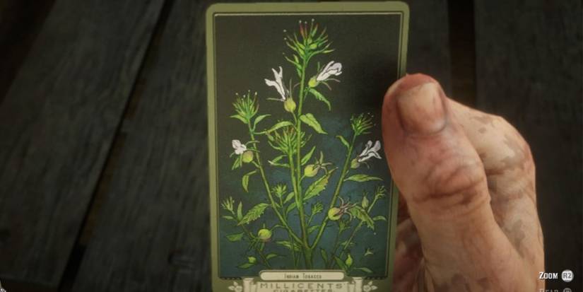 Red Dead Redemption 2: 10 Best Herbs And Plants And Where To Find Them