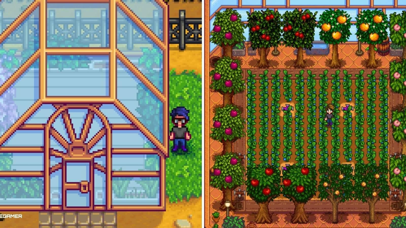 How To Get The Greenhouse In Stardew Valley