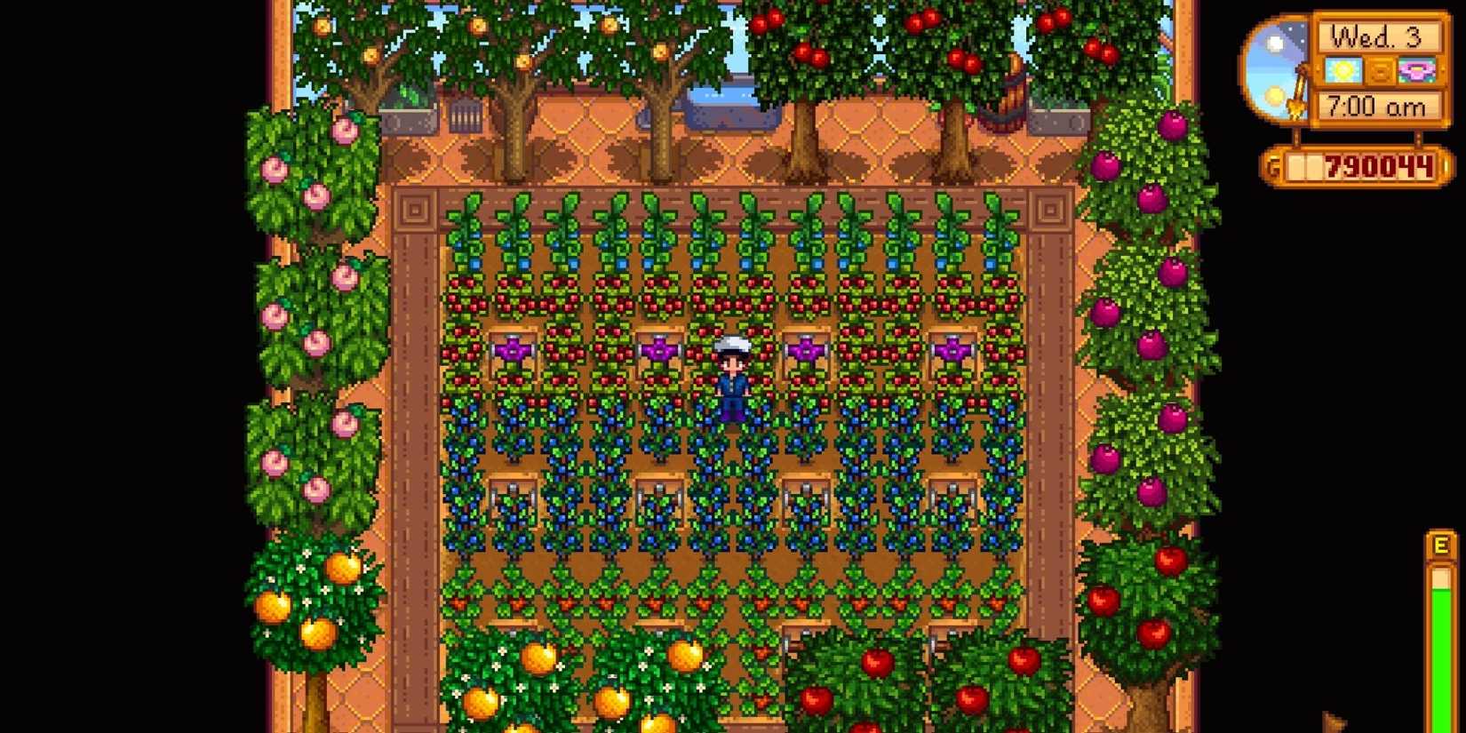 How To Get The Greenhouse In Stardew Valley