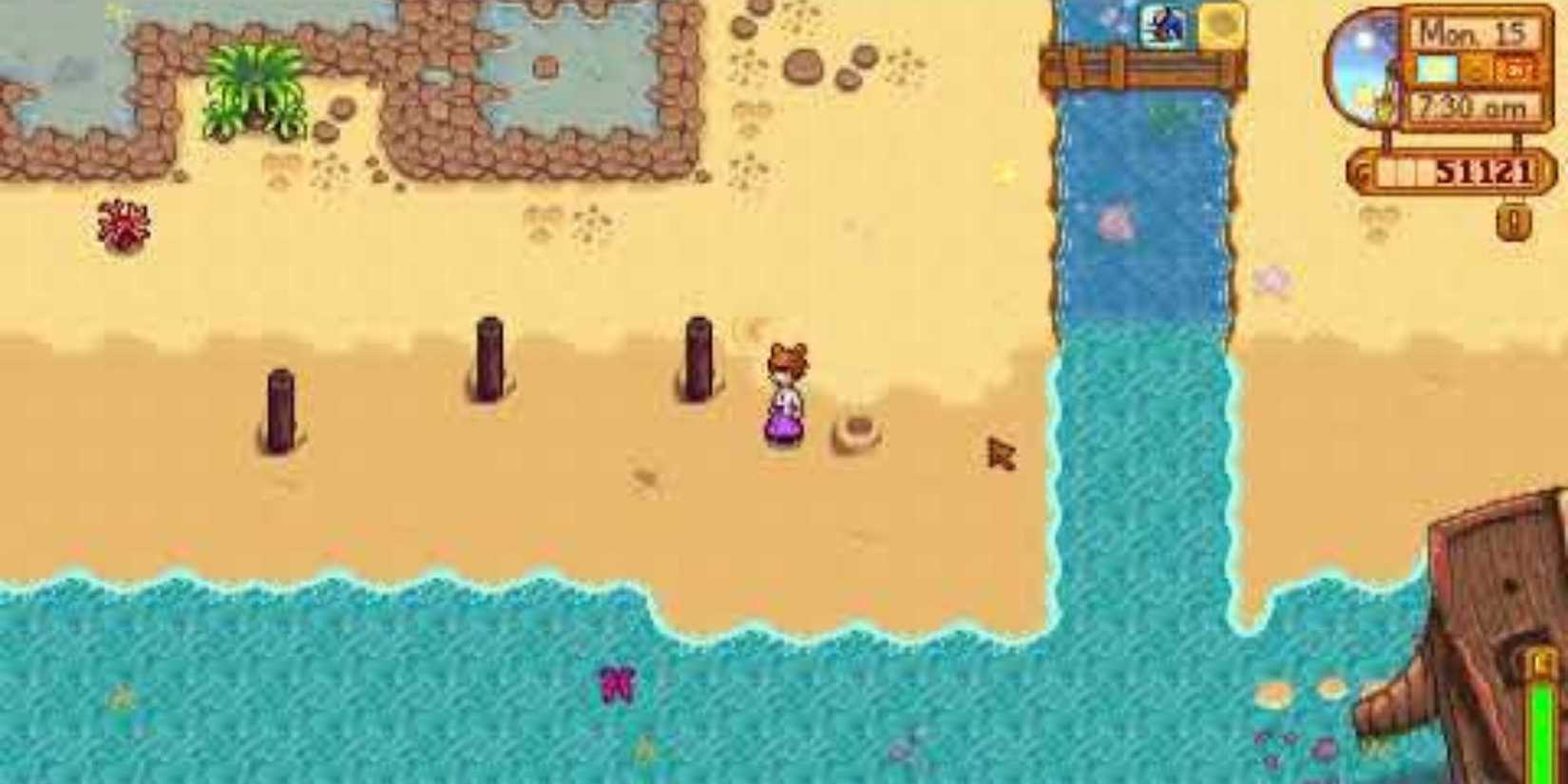 Every Golden Walnut Location In Stardew Valley