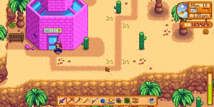 Stardew Valley: Everything You Need To Know About Sandy
