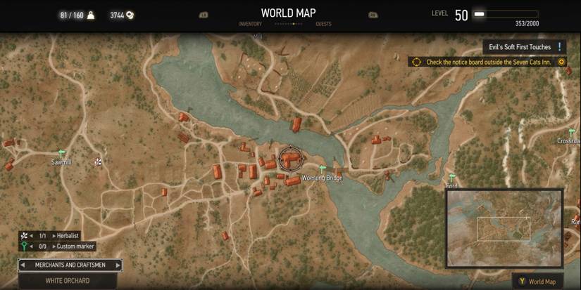 Should You Give The Potion To Tomira In The Witcher 3