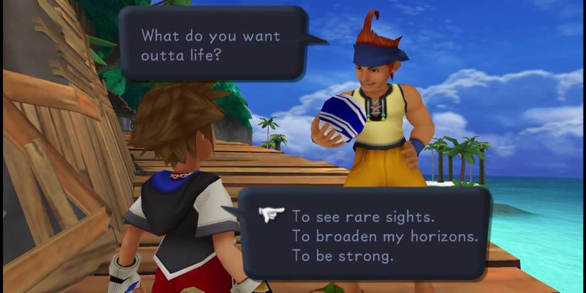 Kingdom Hearts: Questions Guide