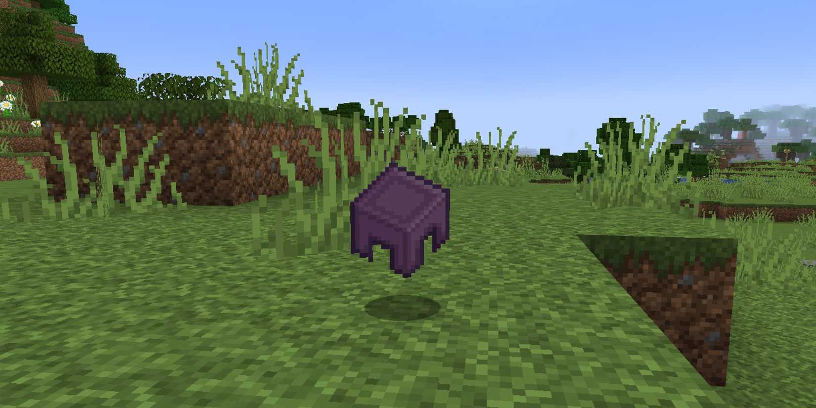 Shell Item Minecraft The Best Items In Minecraft, Ranked