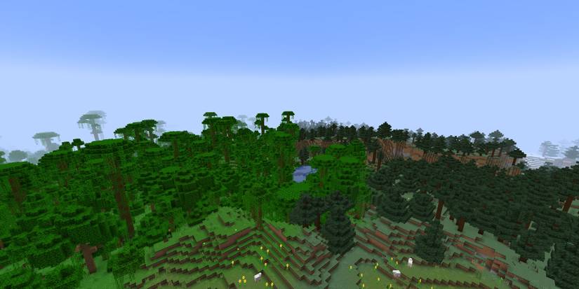 jungle biome and taiga biome meeting 