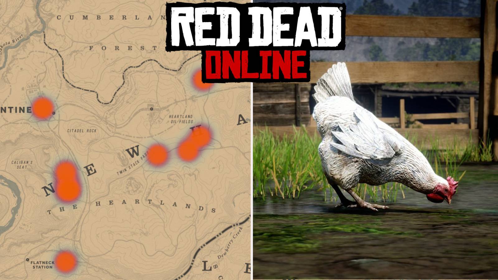 Red Dead Online: Best Chicken Locations