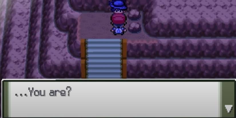 Pokemon: 10 Things You Didn't Know About Gym Leader Roark