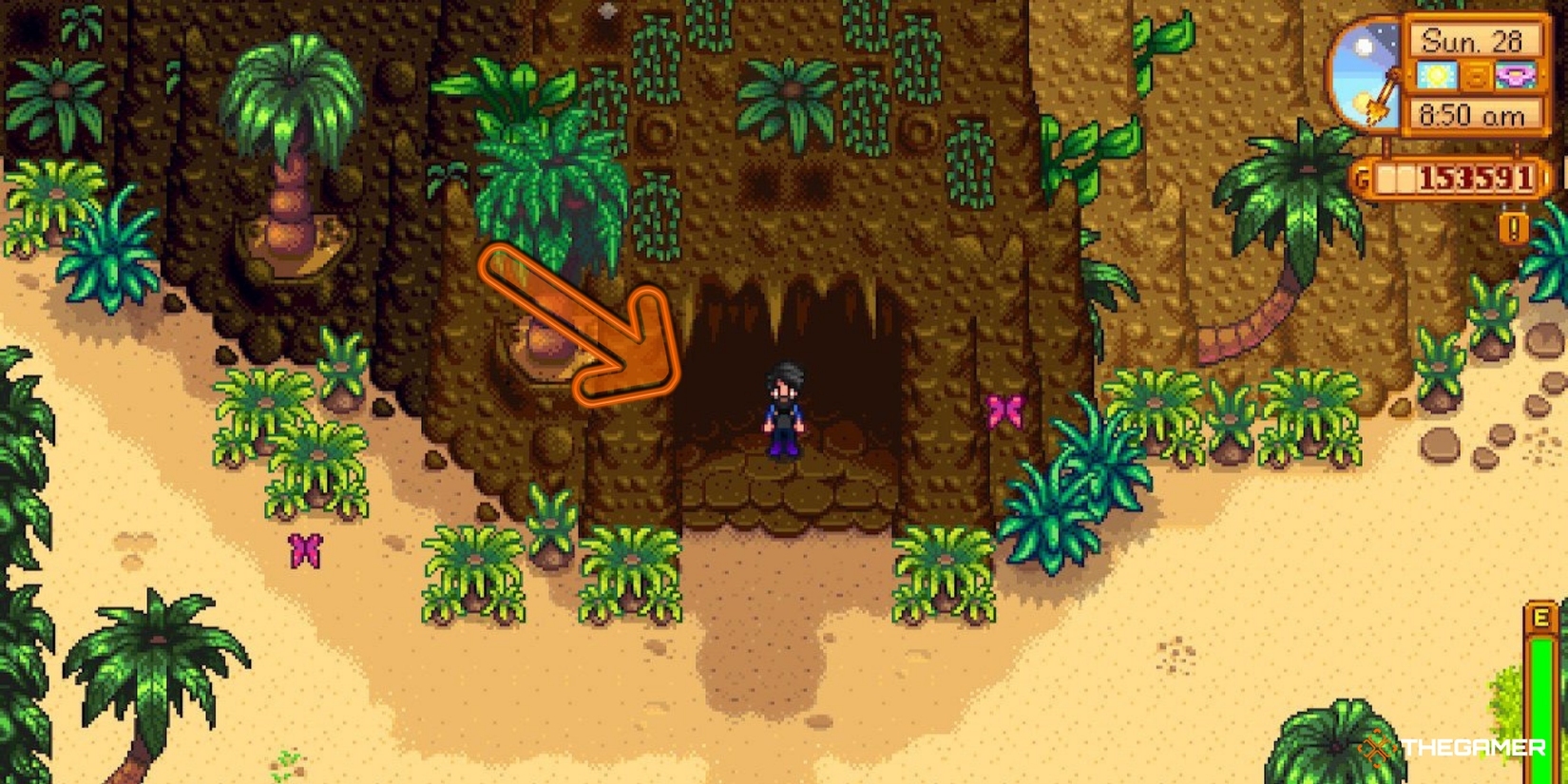 Stardew Valley Ginger Island - Volcano entrance
