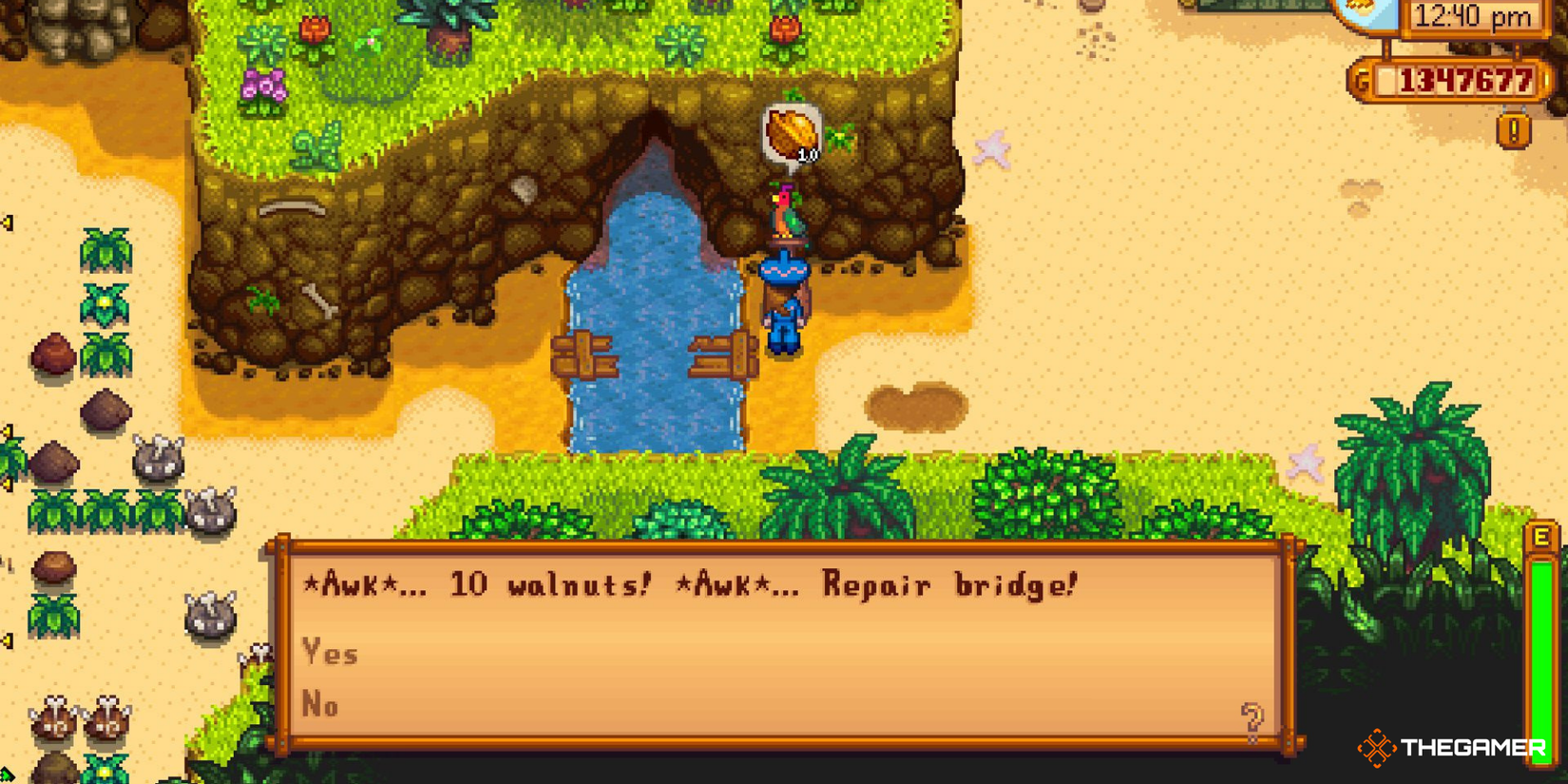 Stardew Valley Ginger Island - bridge repair to excavation site