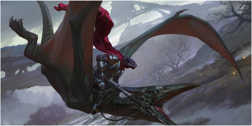 acolyte of windgrace cat art