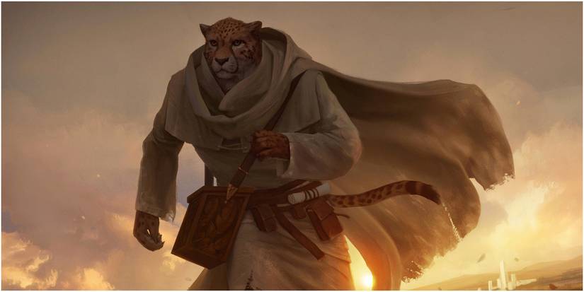 alms collector cat cleric