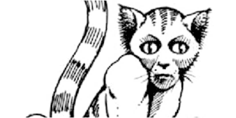 d&d first edition tabaxi art