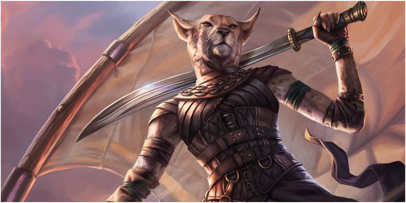 mirri cat warrior art
