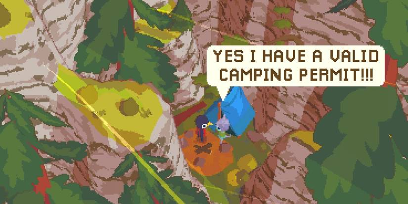 A gray cat thanking Claire for their permit in A Short Hike