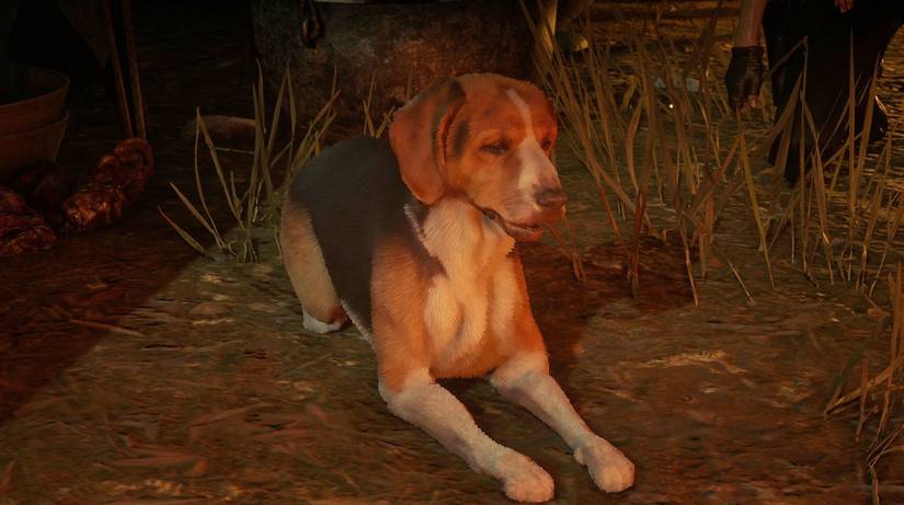 Where To Find Dogs In Red Dead Online