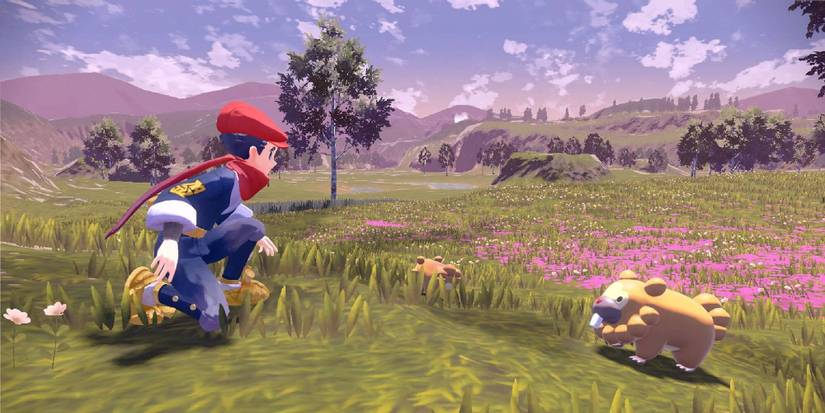 The Hero Trainer Meets A Bidoof