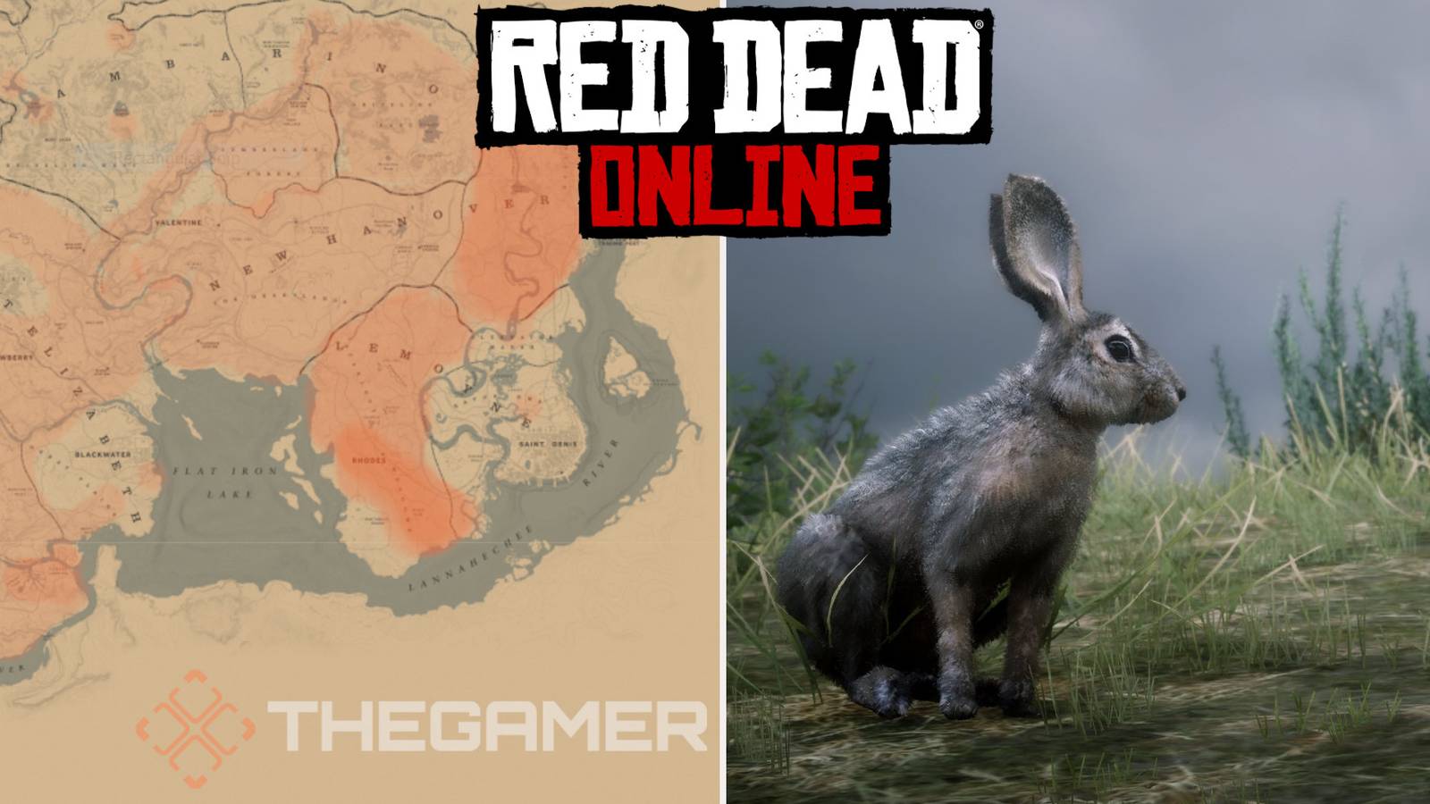Where To Find Black-tailed Jack Rabbits In Red Dead Online