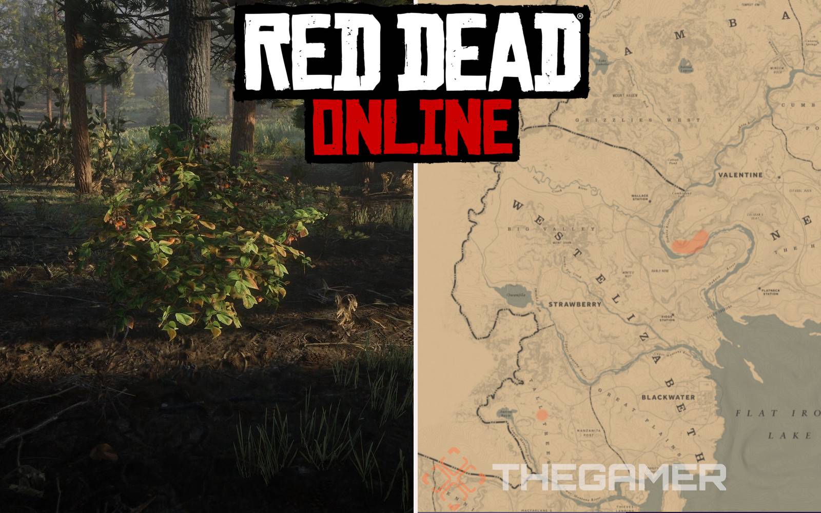 red dead online indian tobacco location Red Dead Online: Best Blackberry Locations