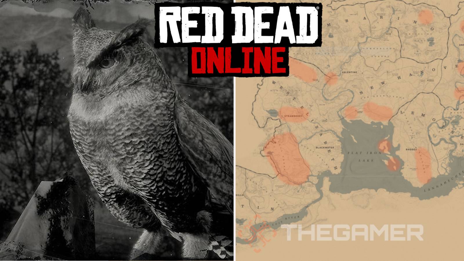 Red Dead Online: Best Owl Locations