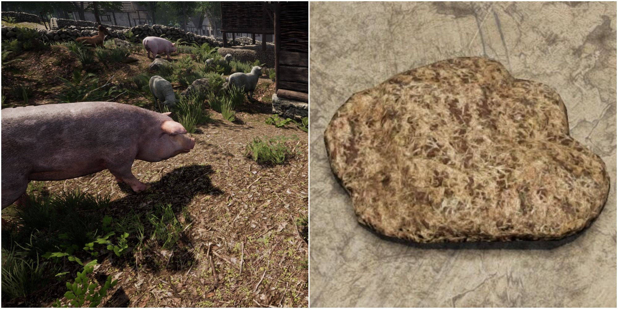 Medieval Dynasty: How To Get Fertilizer