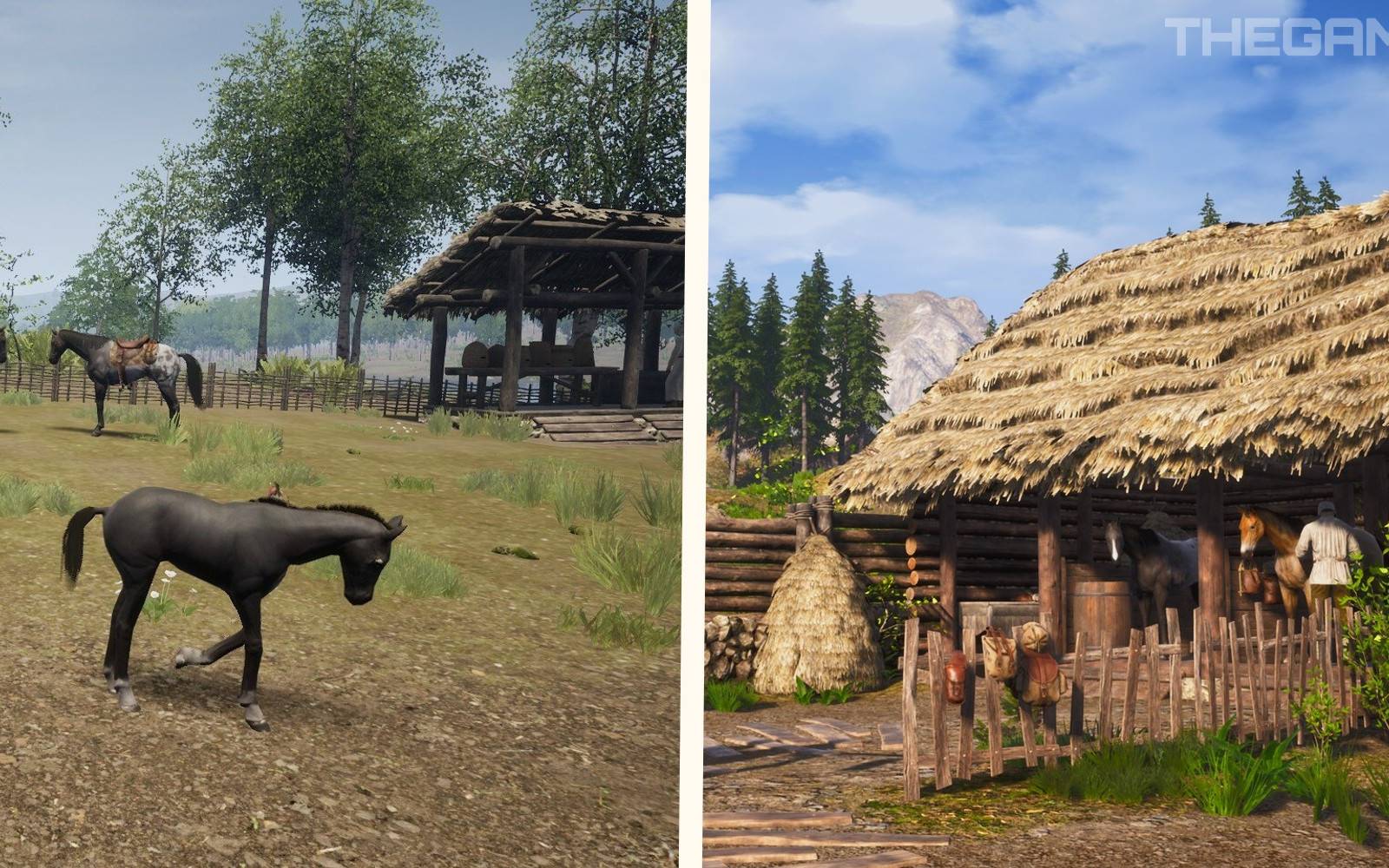 How To Get A Mount In Medieval Dynasty