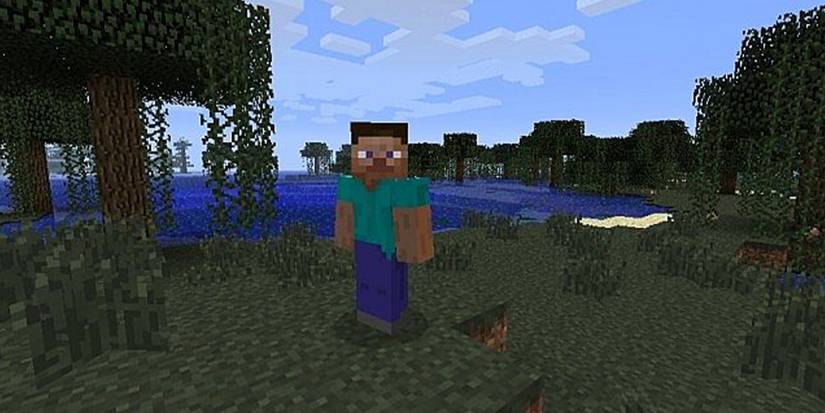 Minecraft Steve in a Swamp biome