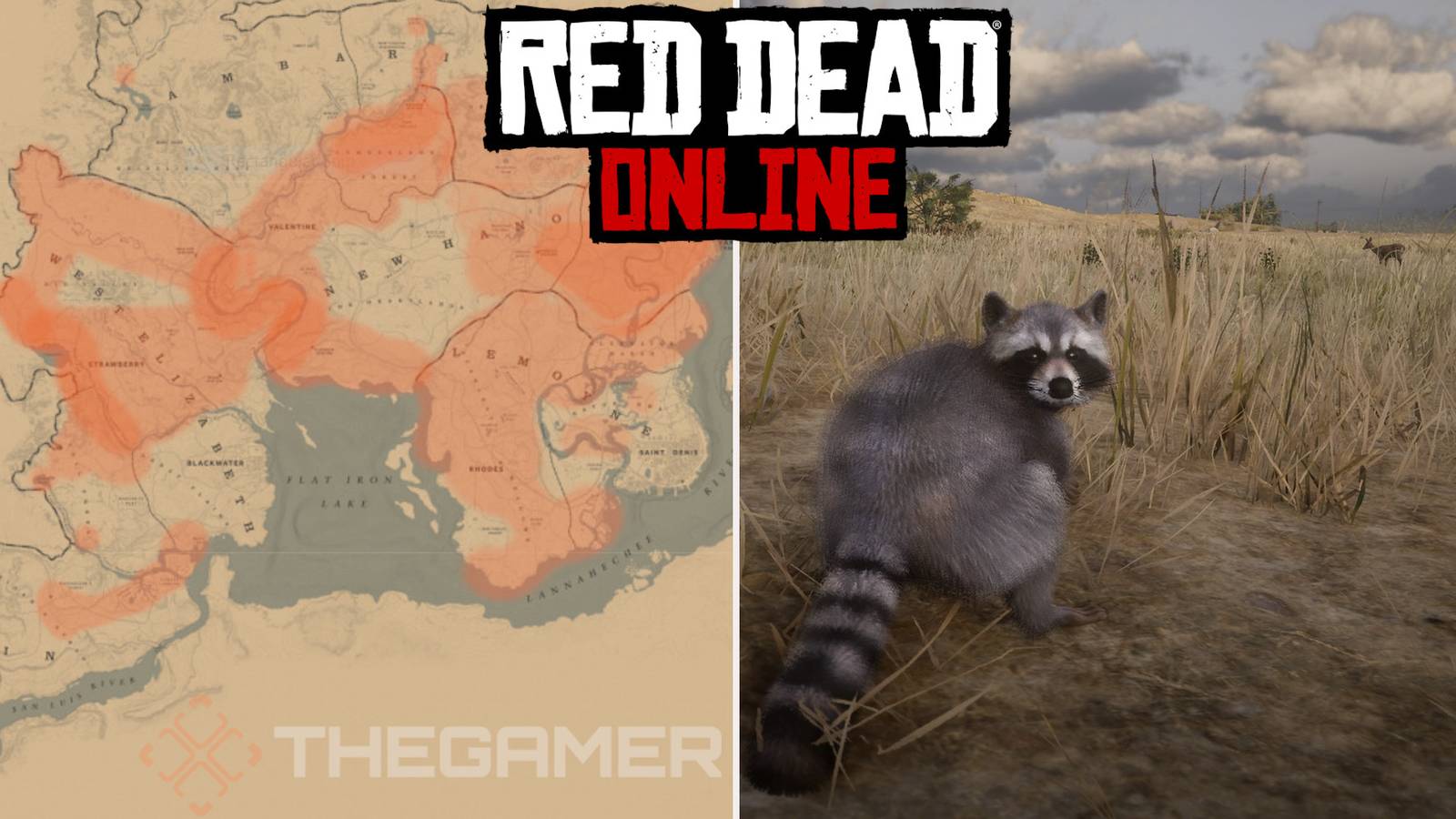 Red Dead Online: Best Raccoon Hunting Locations