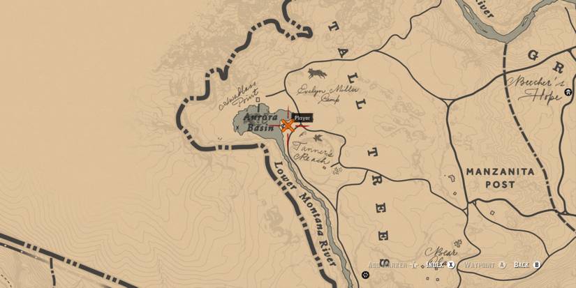 Red Dead Redemption 2: All Lady Slipper Orchid Locations