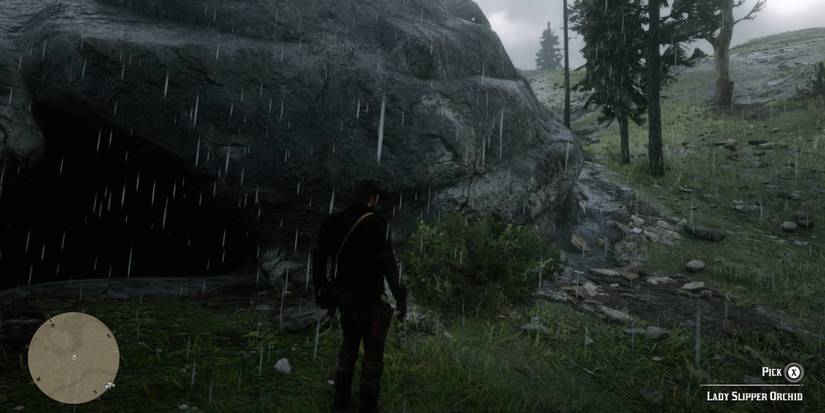 Red Dead Redemption 2: All Lady Slipper Orchid Locations