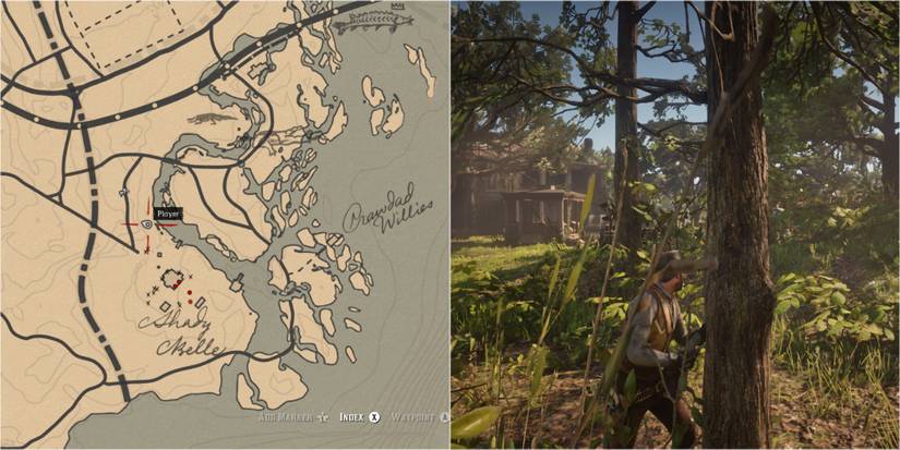 How To Find Every Night Scented Orchid In Red Dead Redemption 2