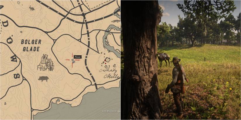 How To Find Every Night Scented Orchid In Red Dead Redemption 2