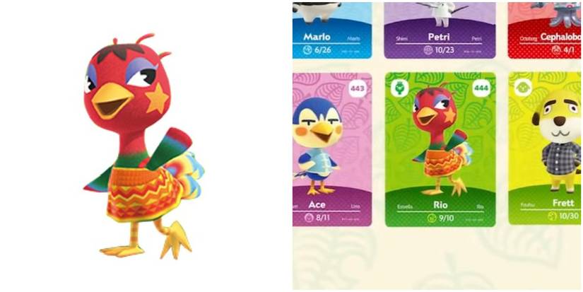 ACNH: Every New Villager In The Version 2.0 Update, Ranked