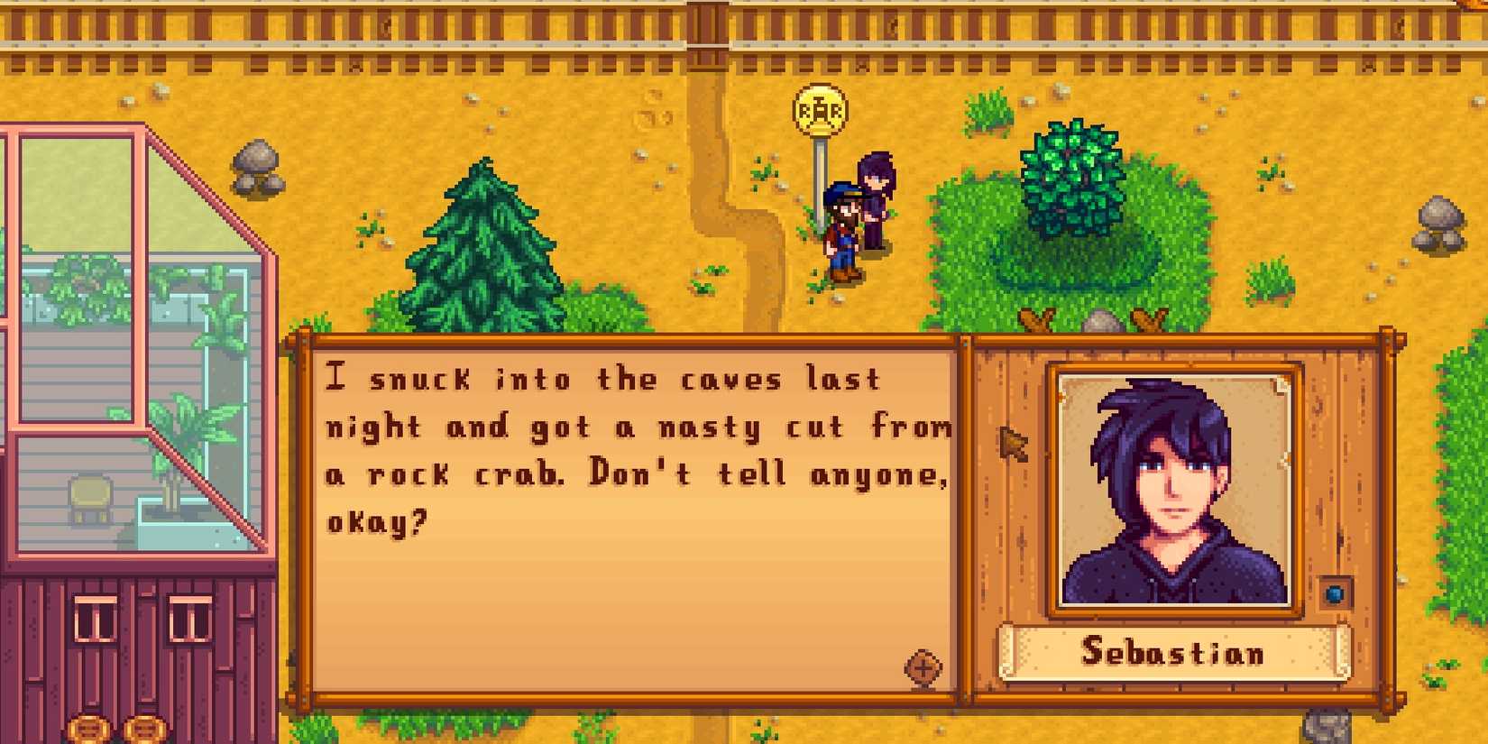 India Game Stardew Valley dialogue of bachelor's character Sebastian.