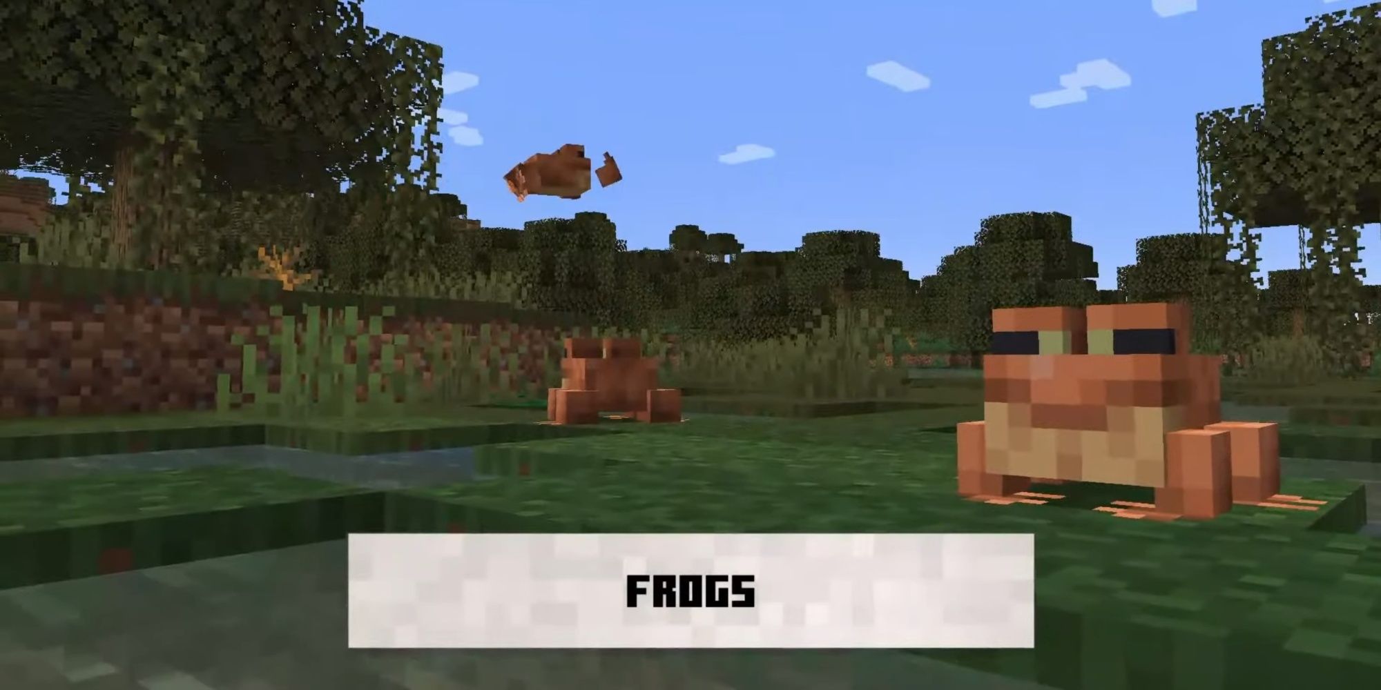 How high can frogs jump in Minecraft's 1.19 update?