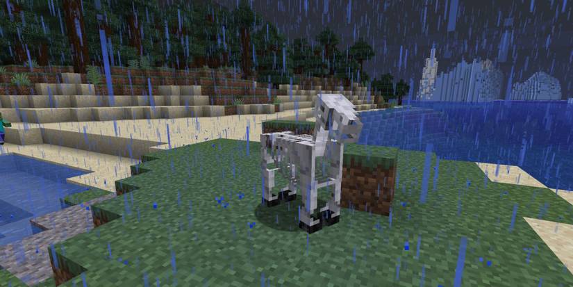 Minecraft: Rarest Mobs In The Game, Ranked
