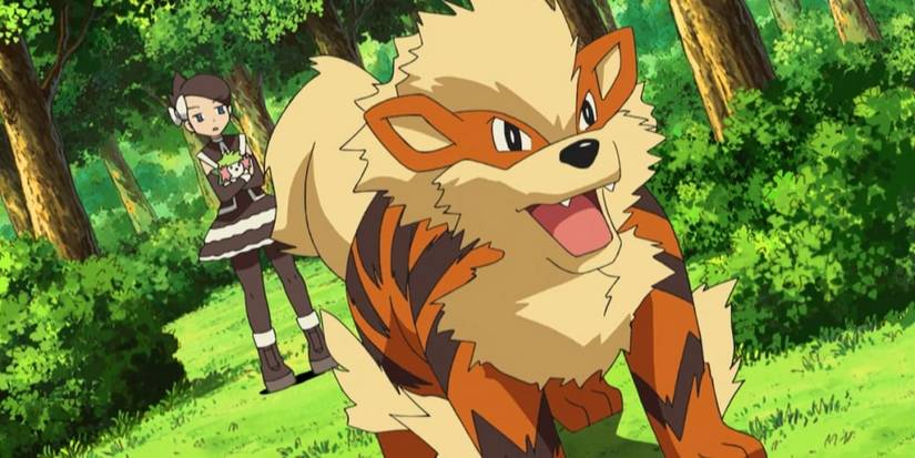 Pokemon Arcanine Legendary Pokemon