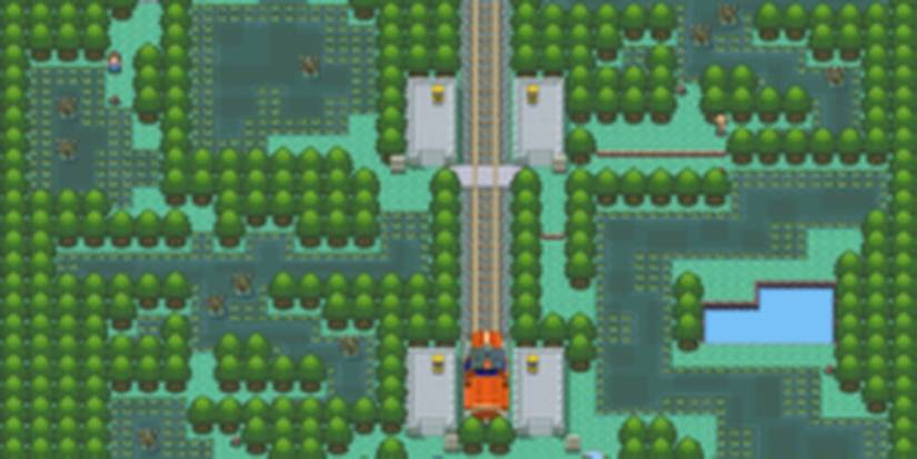 Pokemon Diamond Pearl Platinum Sinnoh Great Marsh Pastoria City