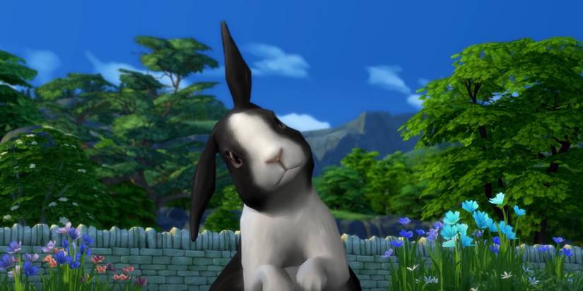 Sims 4: Cottage Living - All Animals Ranked