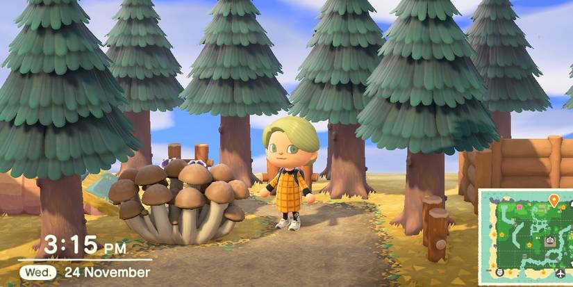 Animal Crossing New Horizons Player standing among the fir trees near the mushroom fence in autumn