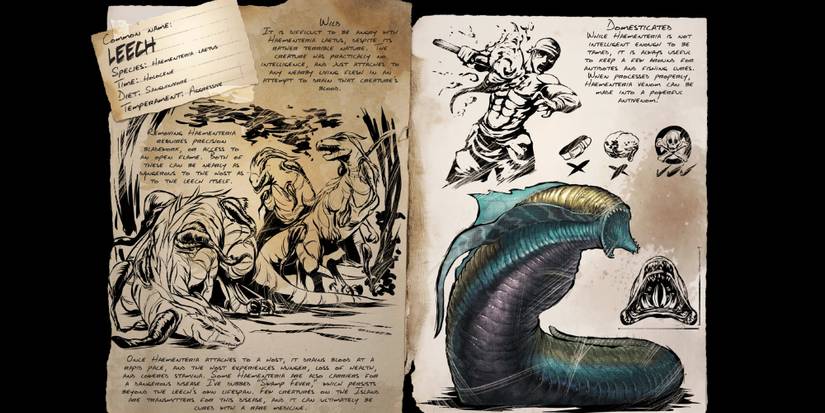 leech dossier file with information and images of the creature